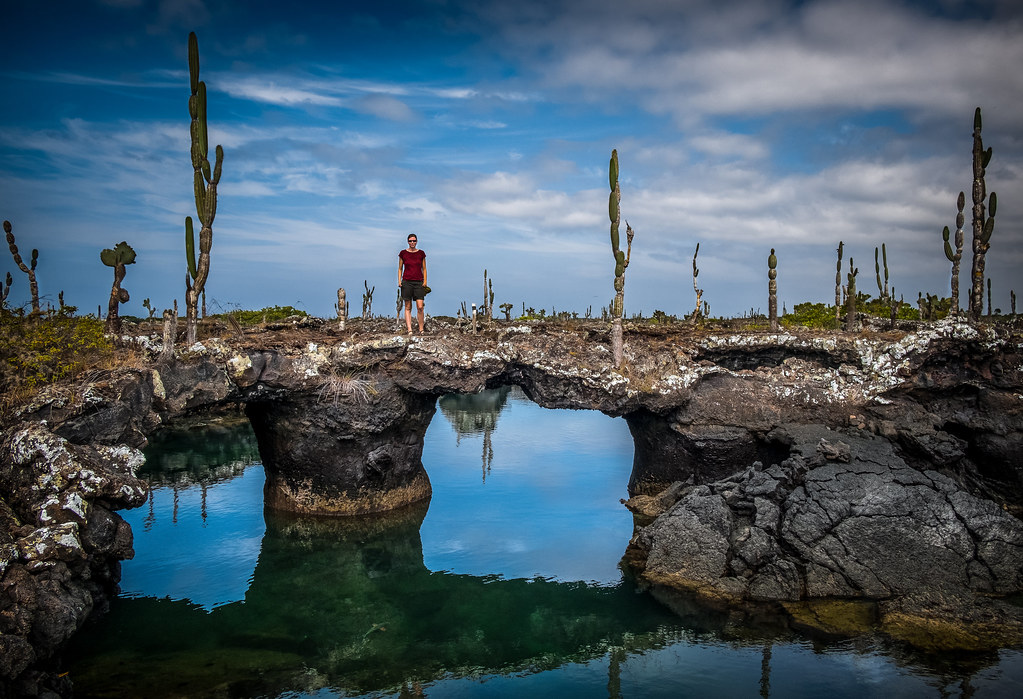 Guide to Izabela Island in the Galapagos Islands