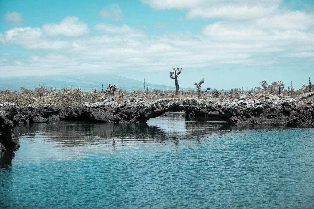 Guide to Izabela Island in the Galapagos Islands