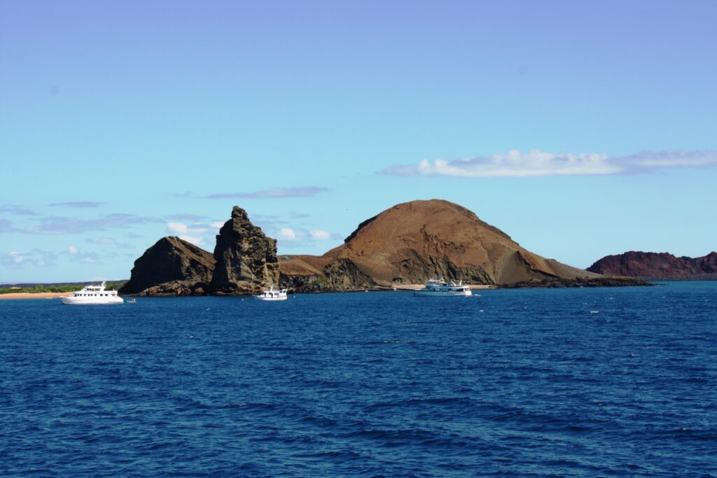 	
The Best Galapagos Cruises for the Best Island Adventure in 2023