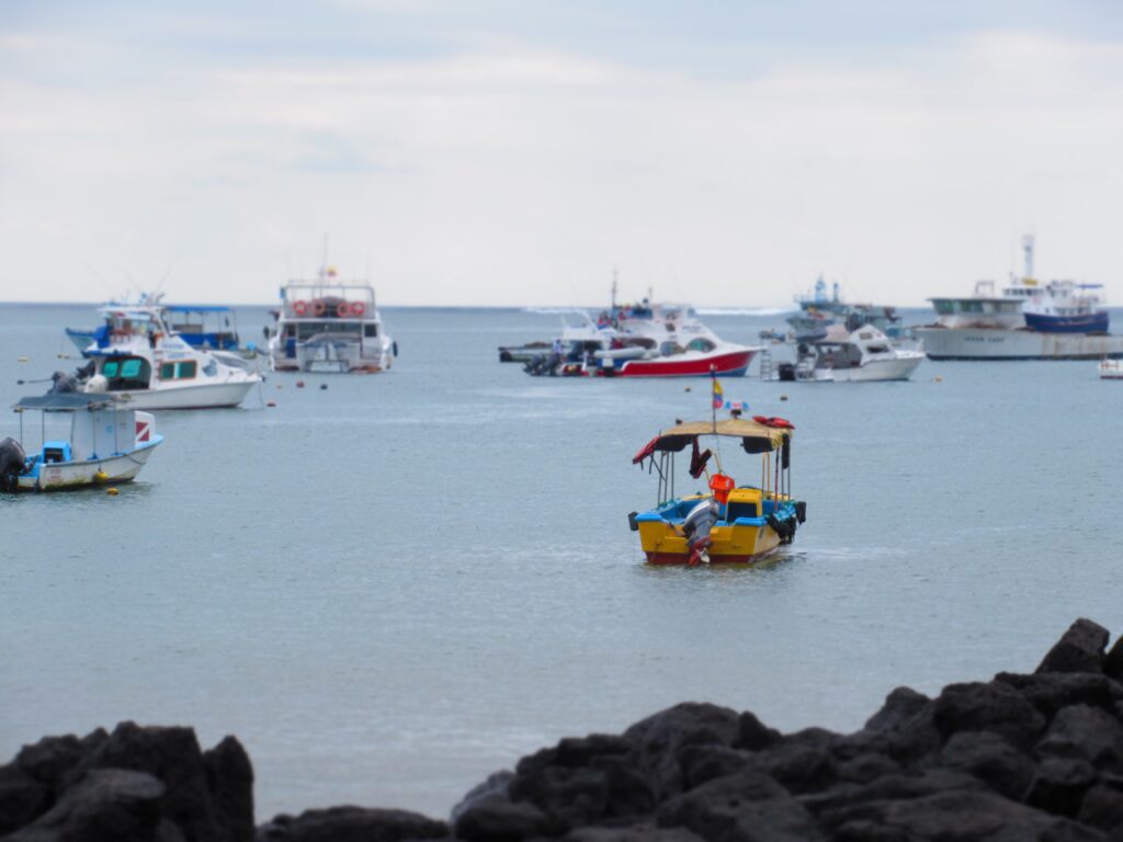 	
The Best Galapagos Cruises for the Best Island Adventure in 2023