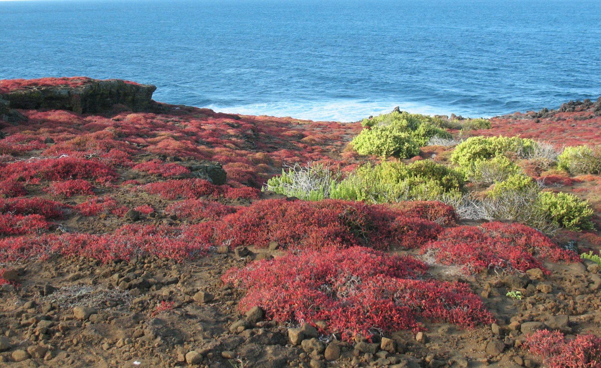 Best Galapagos Trips: Ultimate Guide to Galapagos Islands