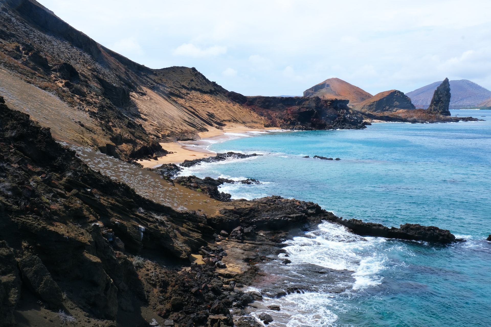 Guide to Izabela Island in the Galapagos Islands